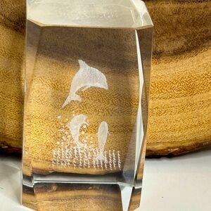 Crystal 3D Laser Etched Dolphins Paperweight. (2-O)